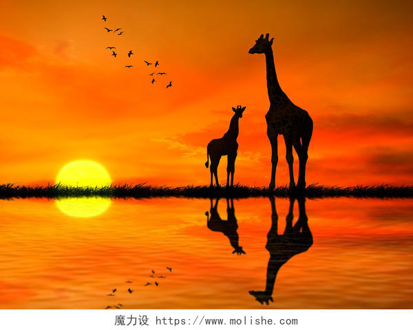 两只长颈鹿与反对非洲日落湖泊水中倒影的剪影